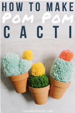 Pom Pom Cacti