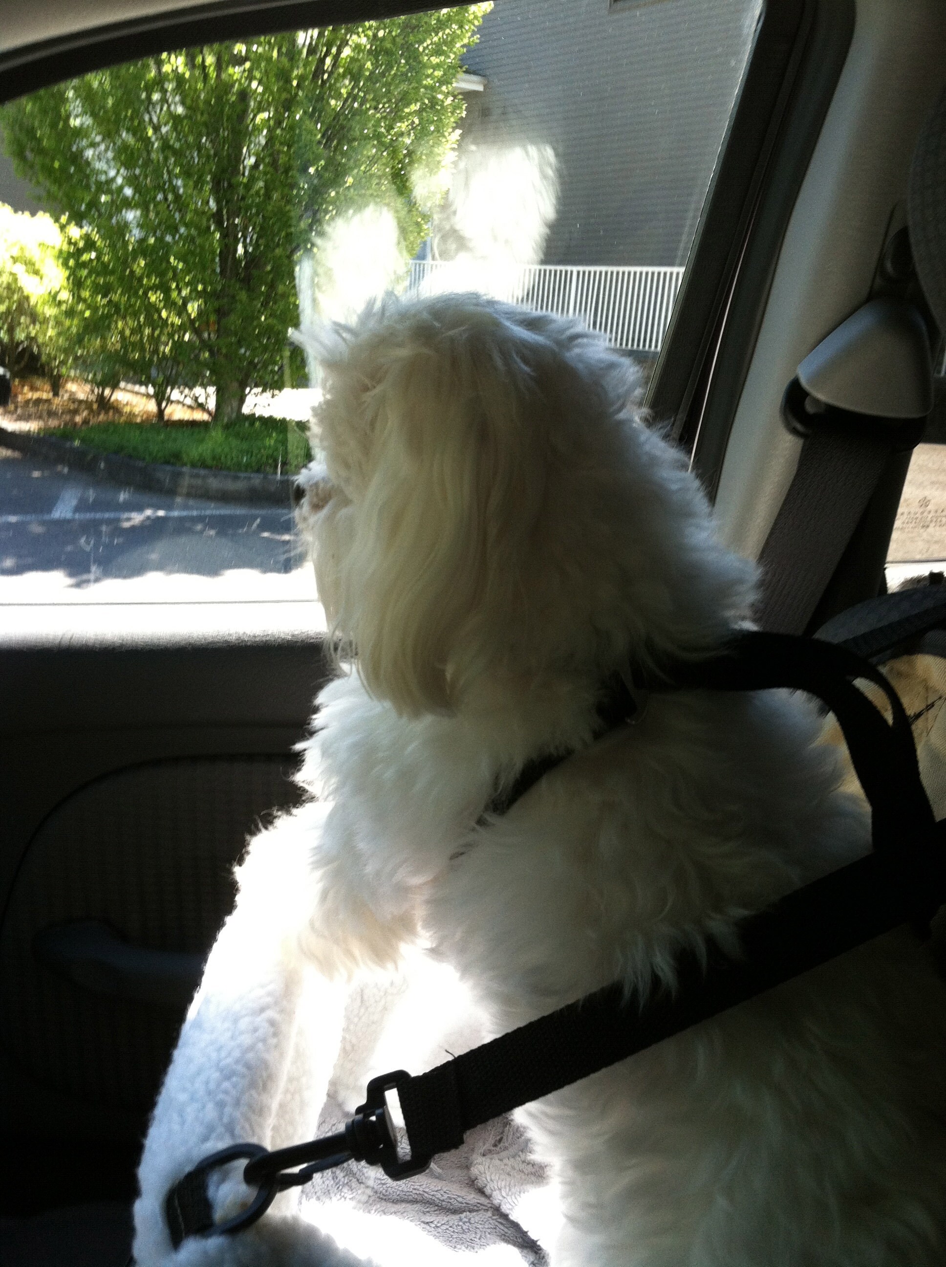 car ride