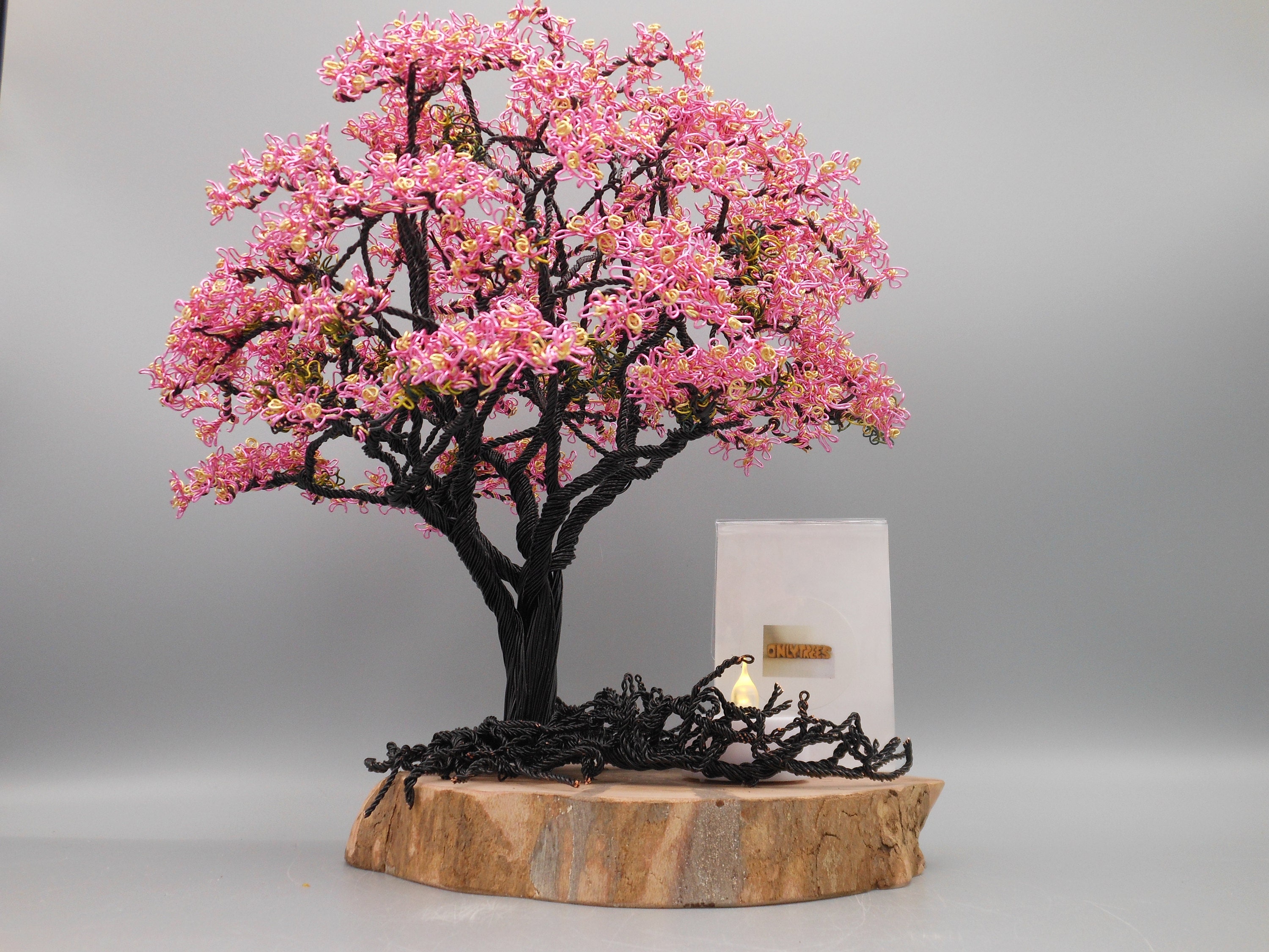 Pink Dogwood