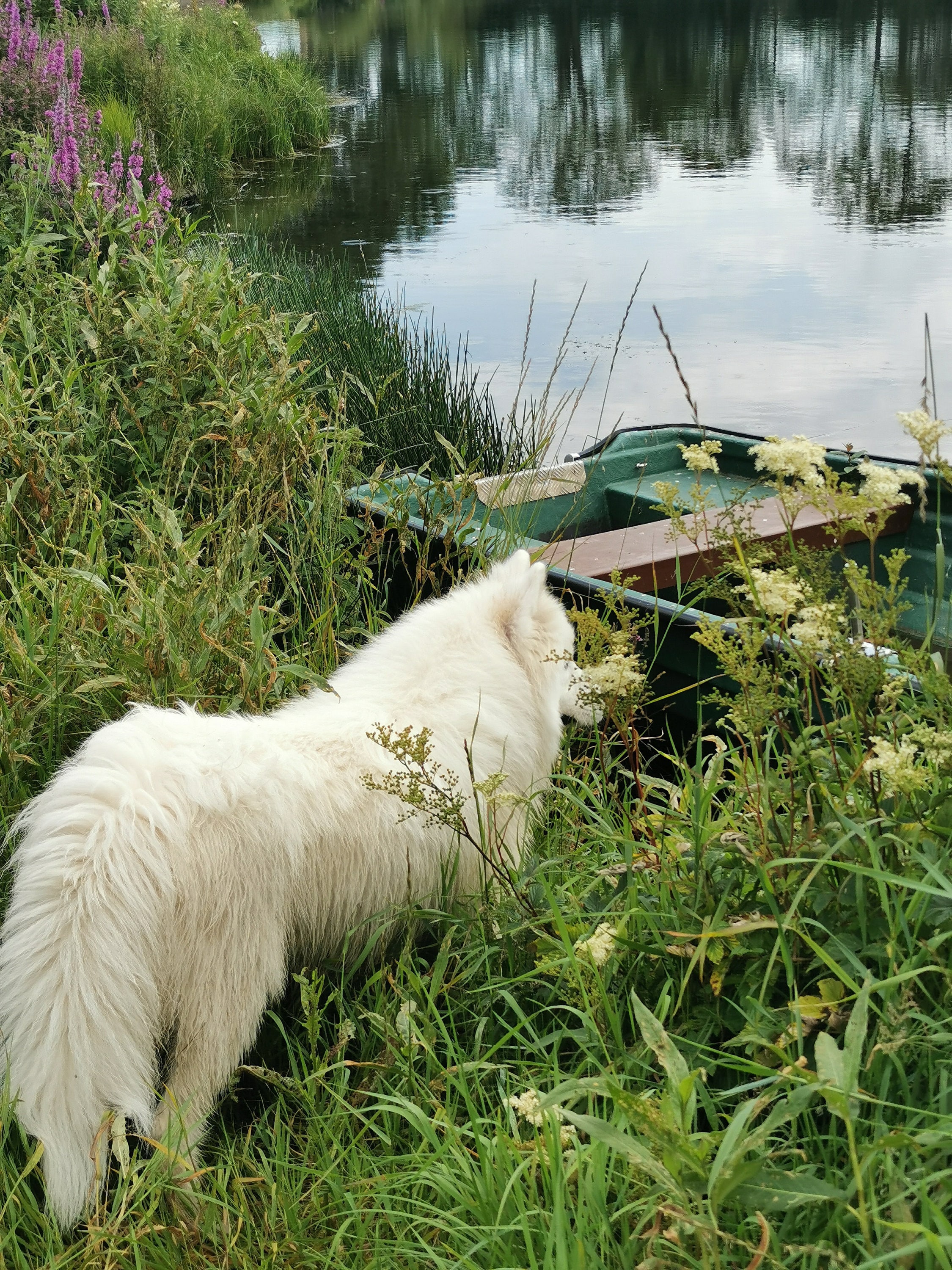Max at his his favorite place.