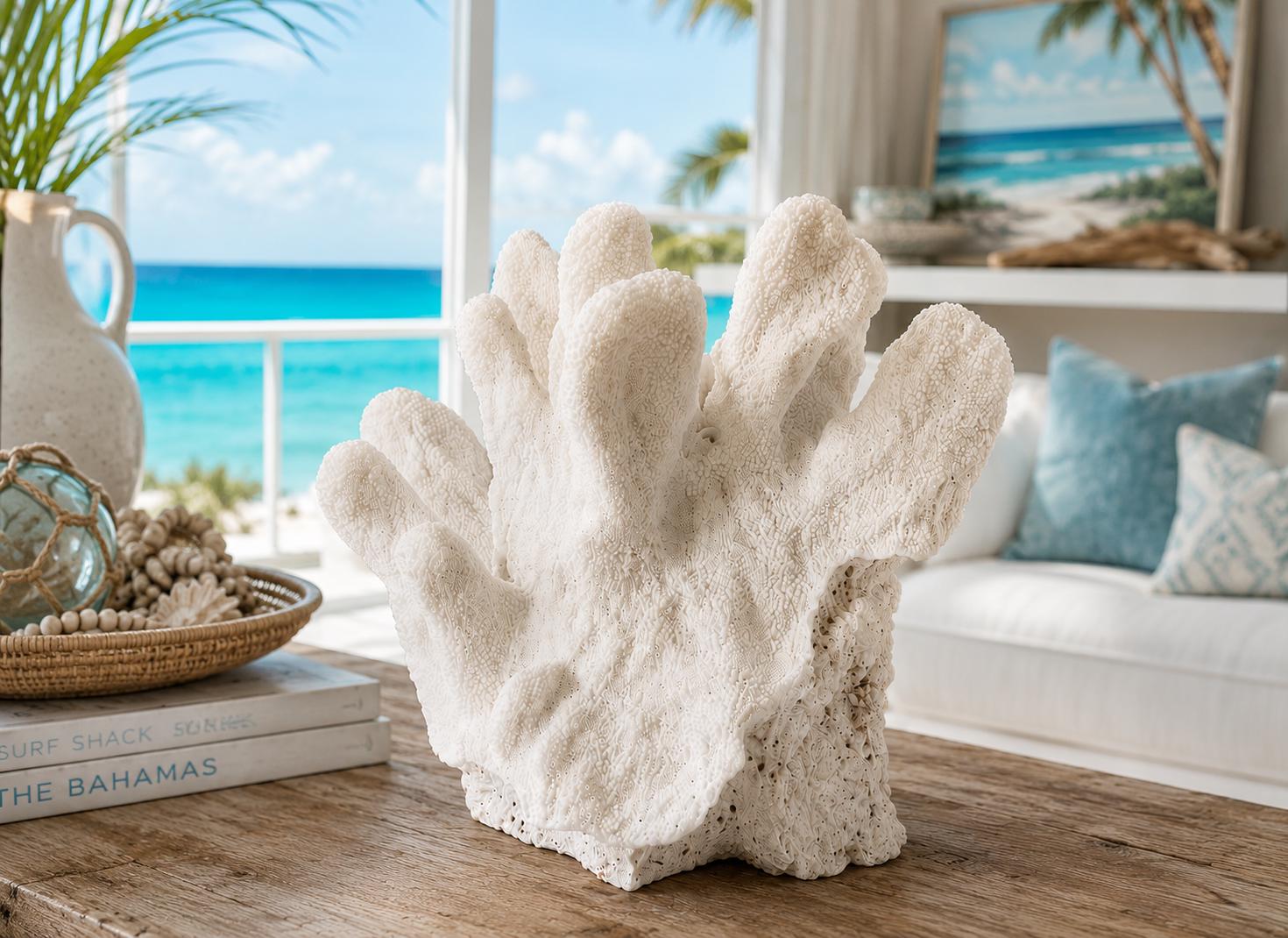 Natural Cats Paw Coral, Natures Coastal Sculpture