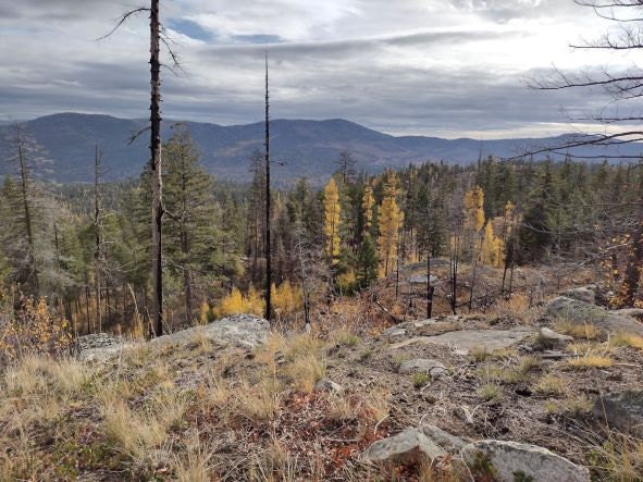 okanogan highlands