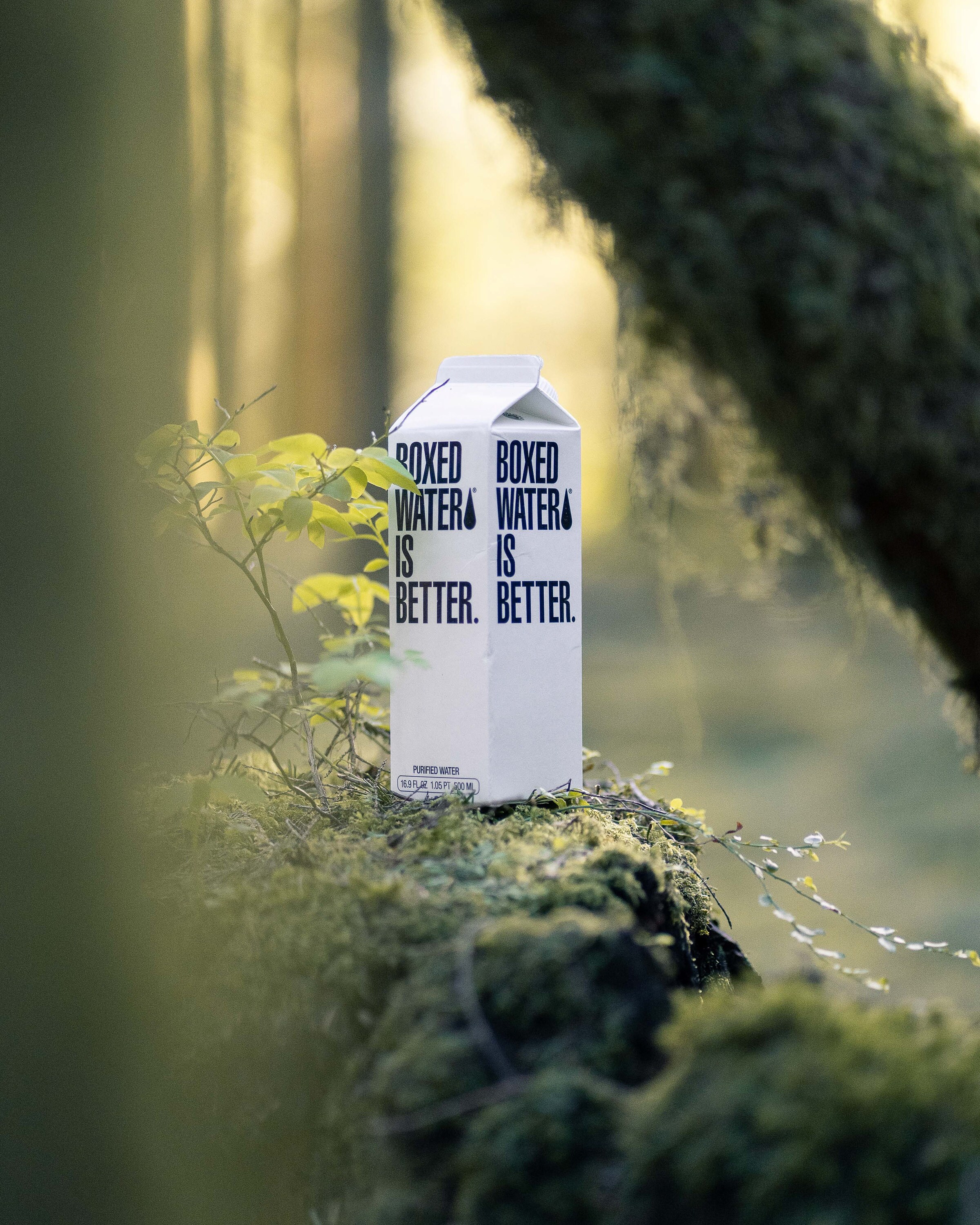 5 easy way to be more eco-friendly