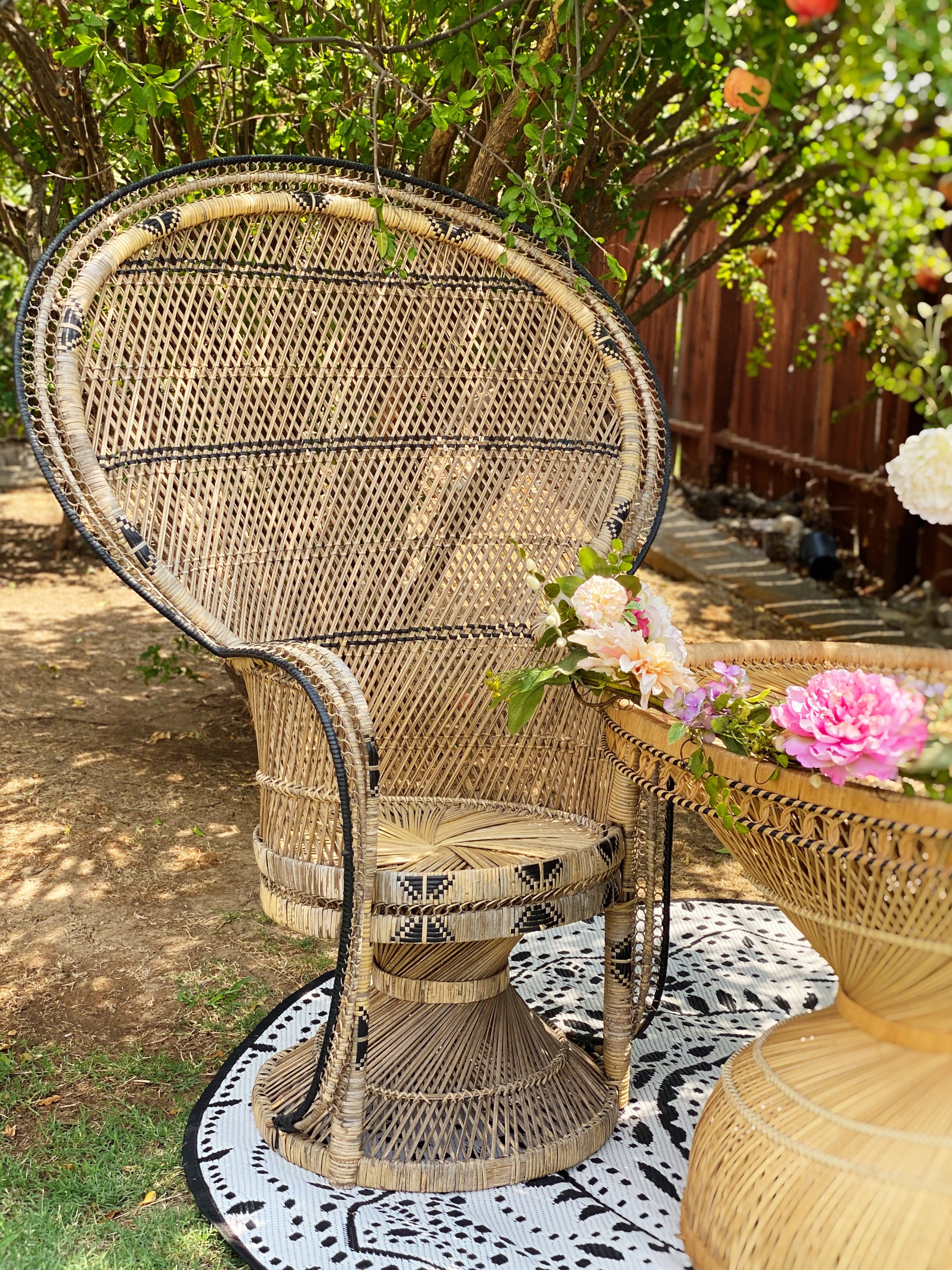Patterned Peacock Chair