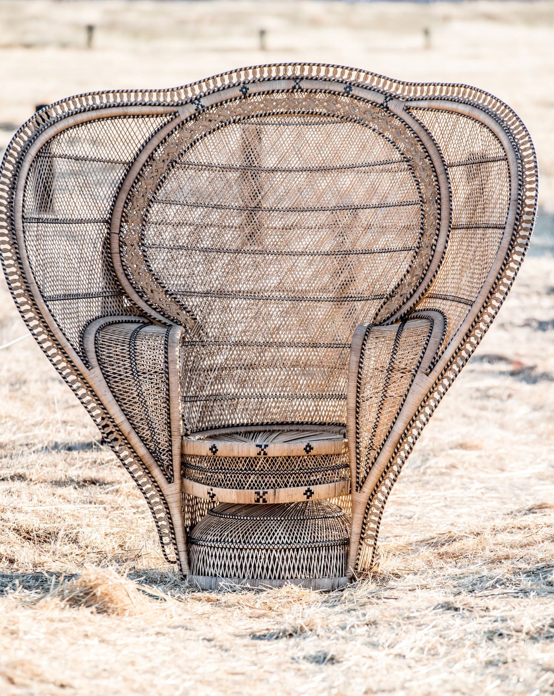 White Elephant Co. XL Cobra Peacock Chair