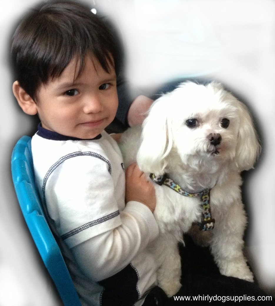 julio and whirly