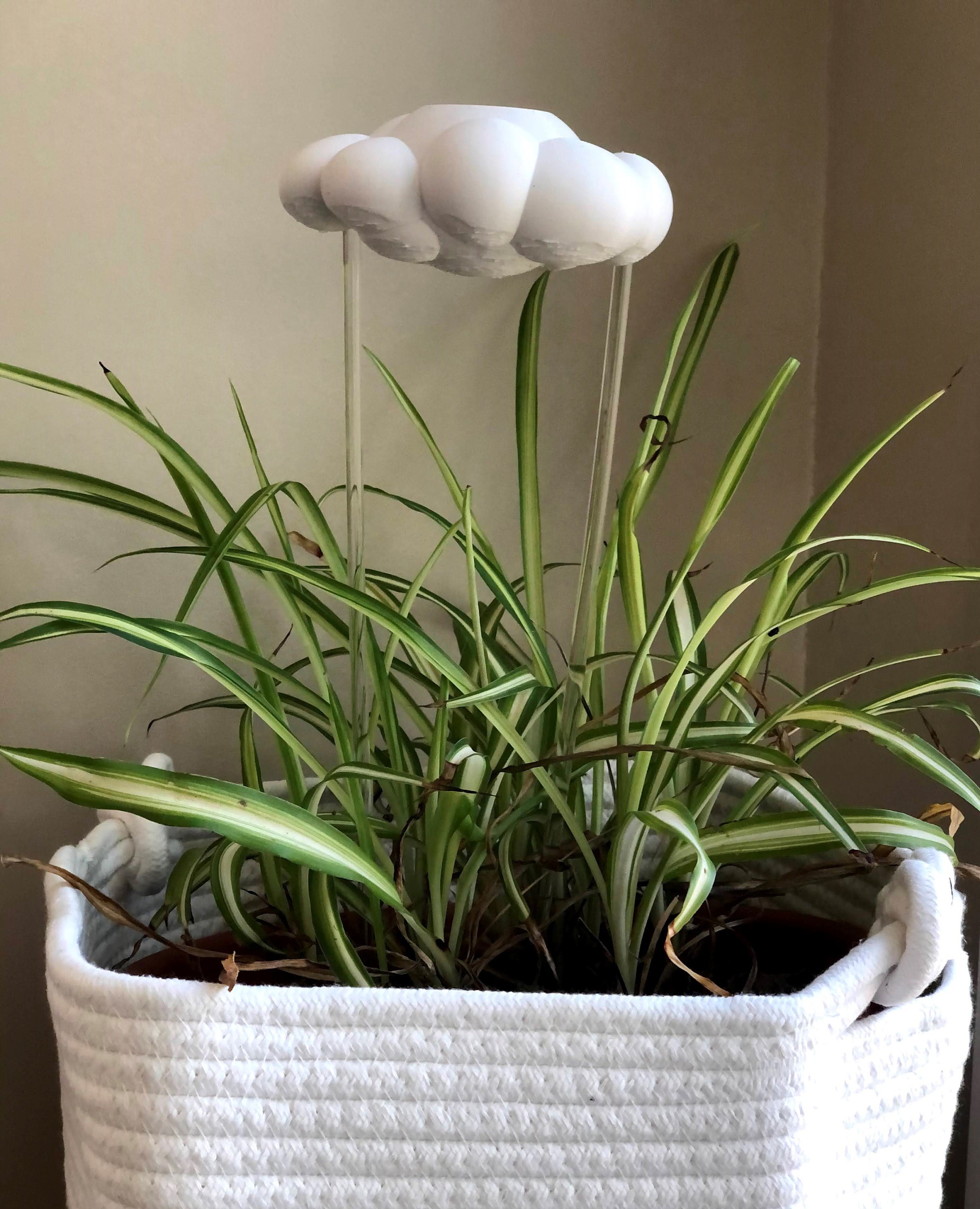 floating cloud