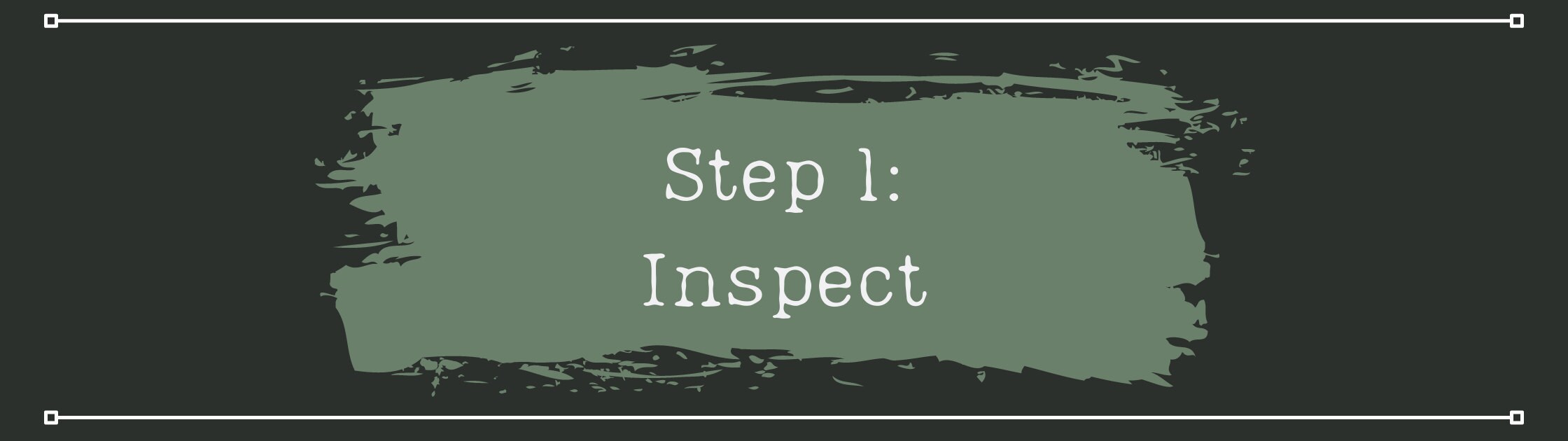Step 1 - Inspect
