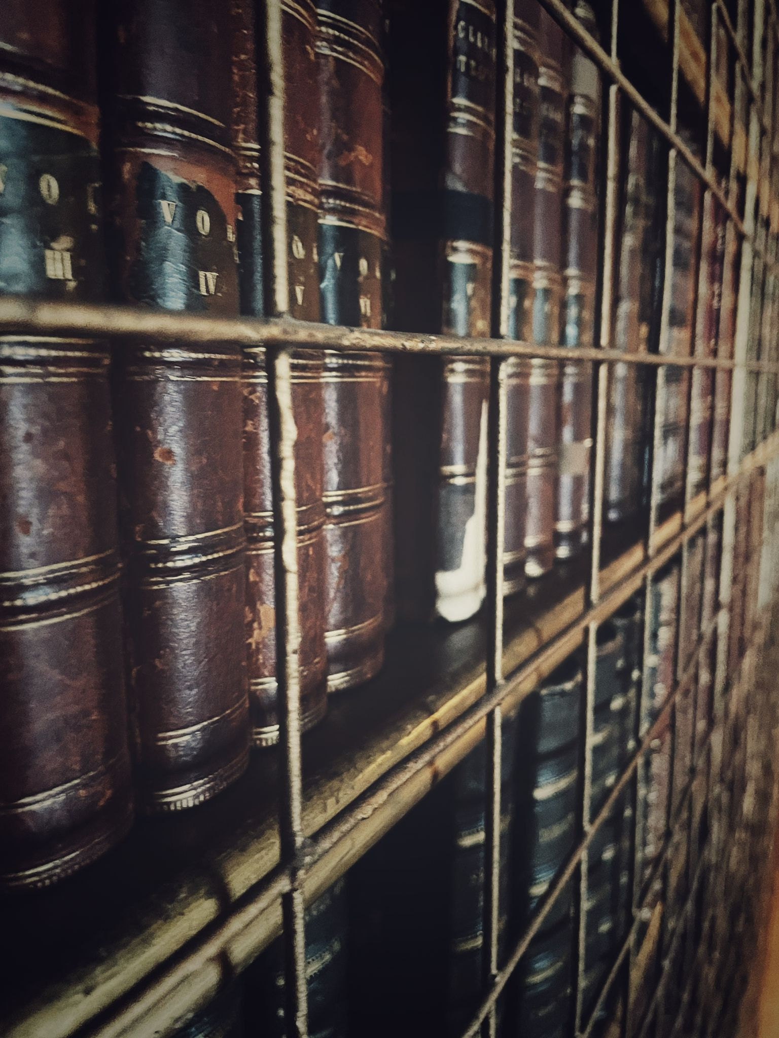 Explore our dream rare book collection at The Poet and the Piper, where vintage collectibles and naturalist art come together. From Walt Whitman’s Leaves of Grass to Shakespeare’s First Folio, discover the ultimate list for book collectors and art lovers.