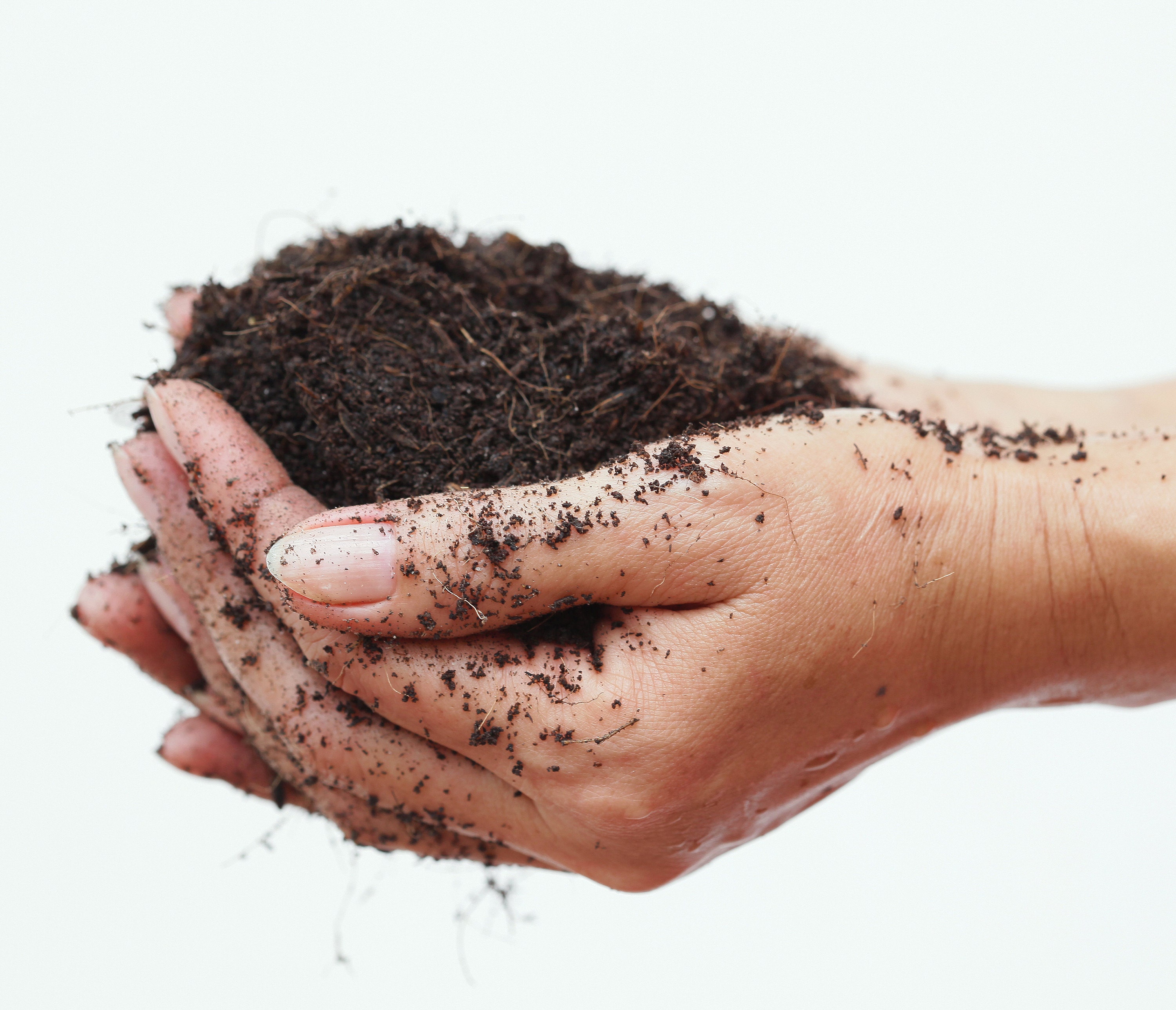 Feel the dirt