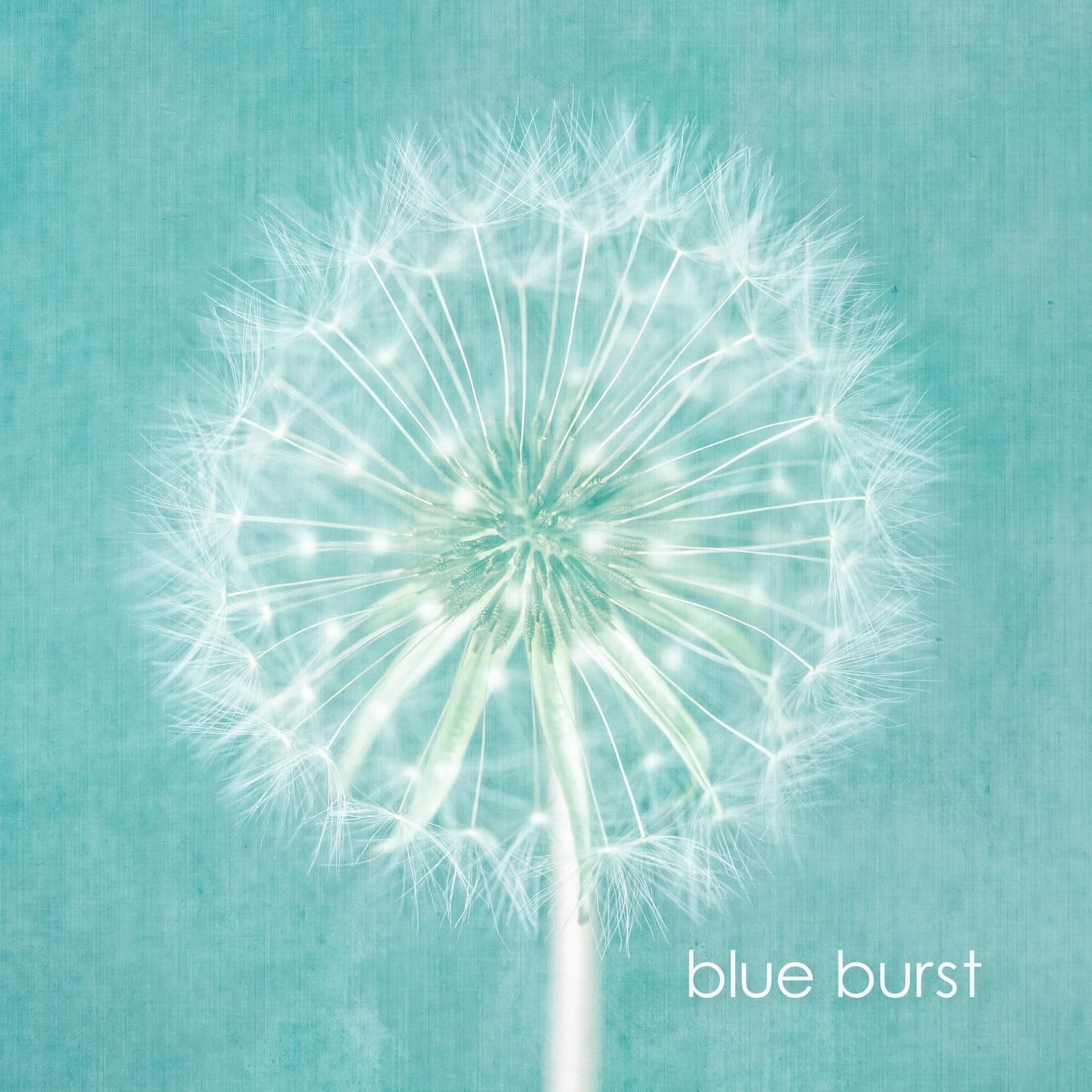 pale green and blue close up dandelion limited edition print and wall art uk