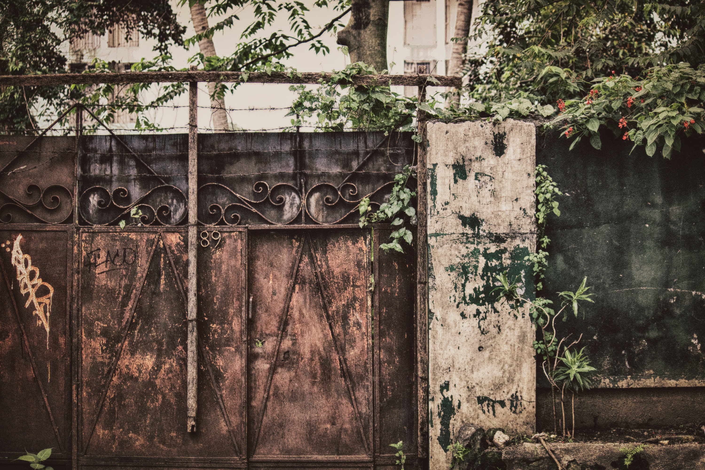 A pretty pink rustic gate