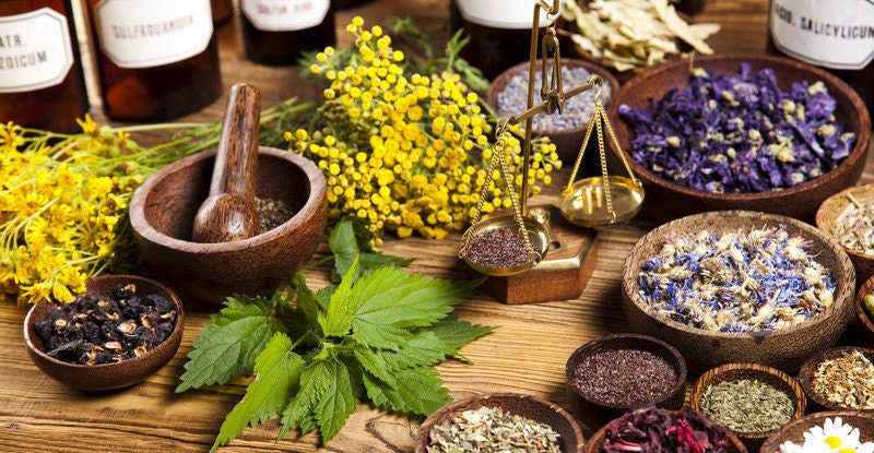 Personal Herbal Plan