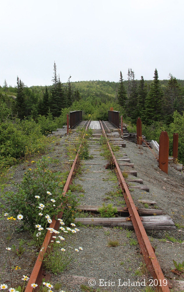 Trinity Loop