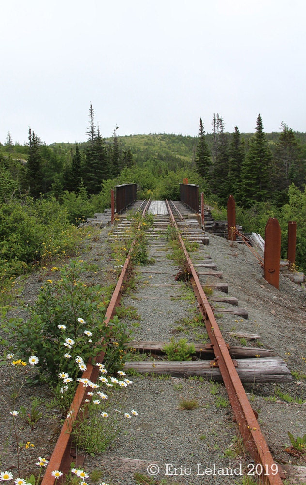 Trinity Loop