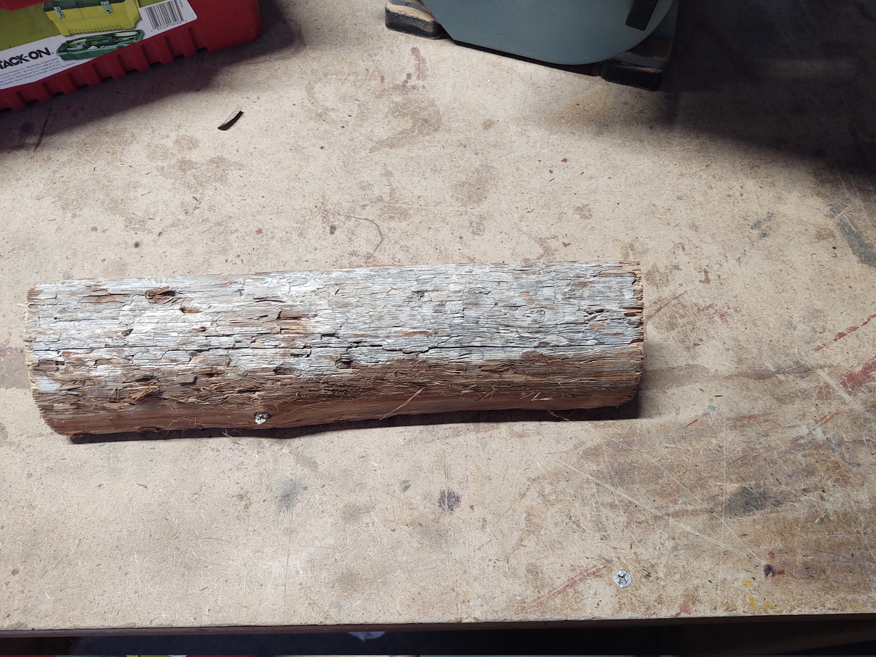 the cedar log before splitting and splicing