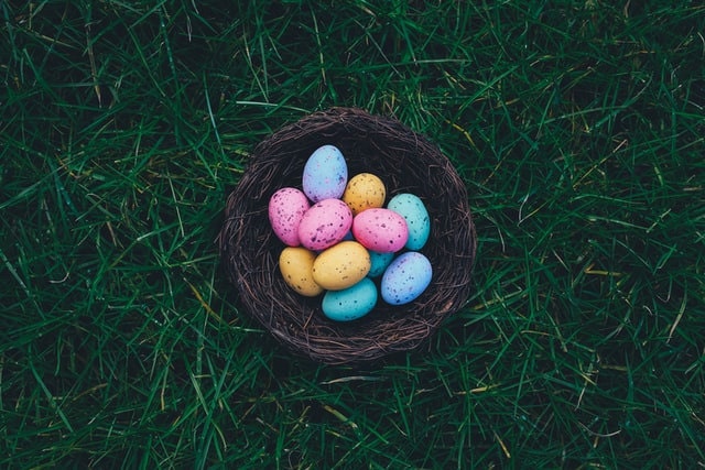 eggies
