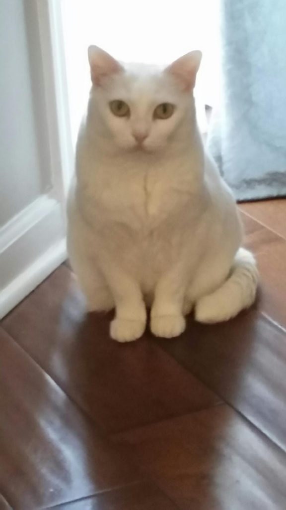 Not in focus