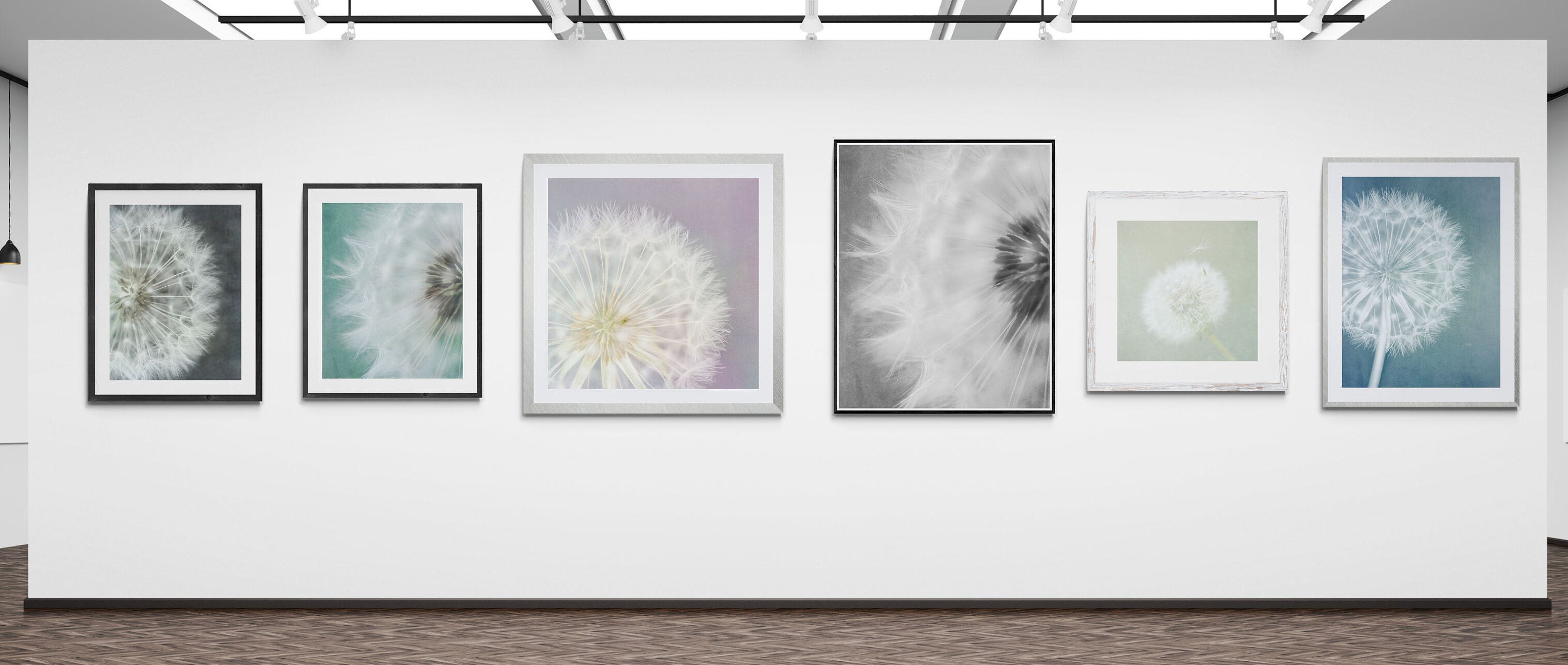 dandelion wall art-dandelion fine art photography-dandelion ready to hang canvas