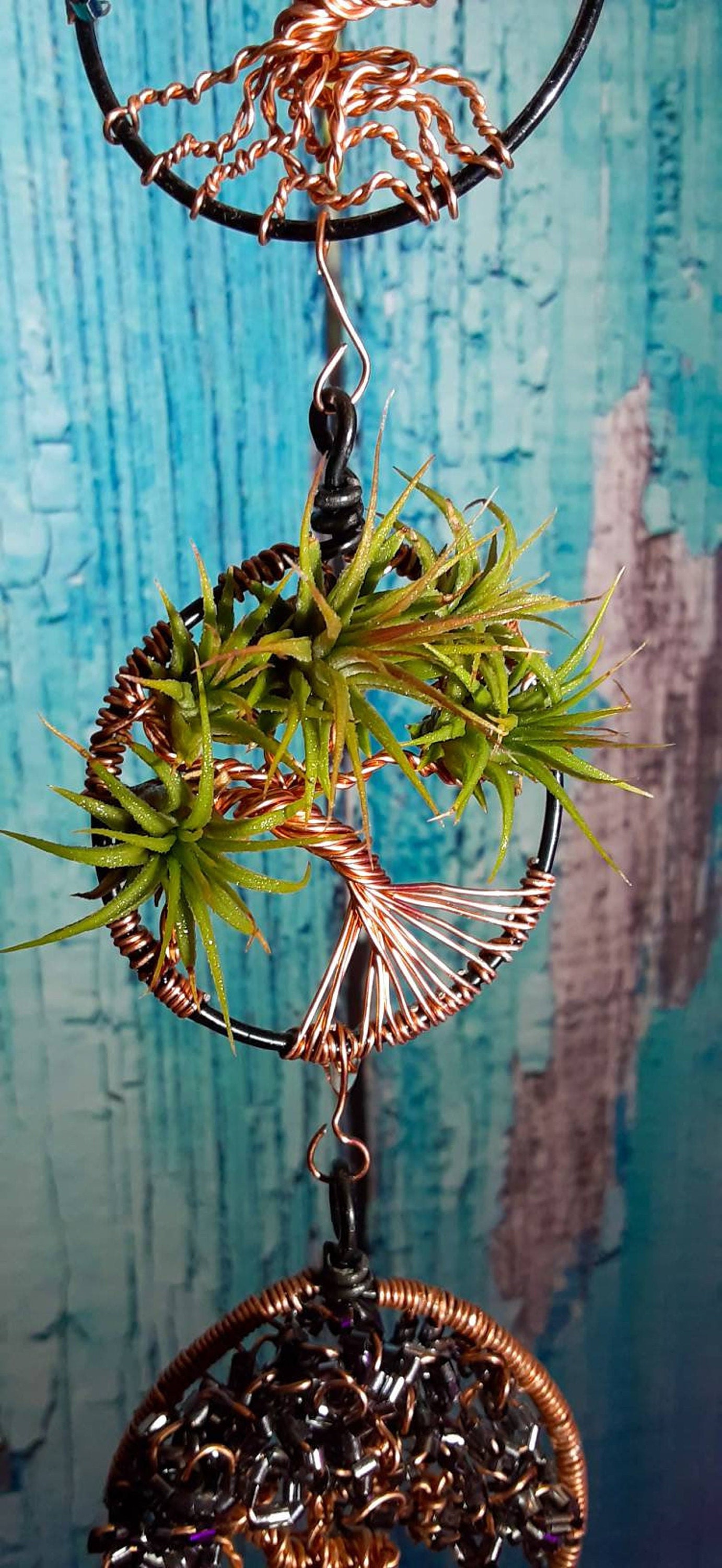 Hanging Air Plant Wire Art by Ambrias Ink
