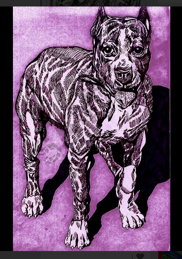K-9 -Date & Year Unknown