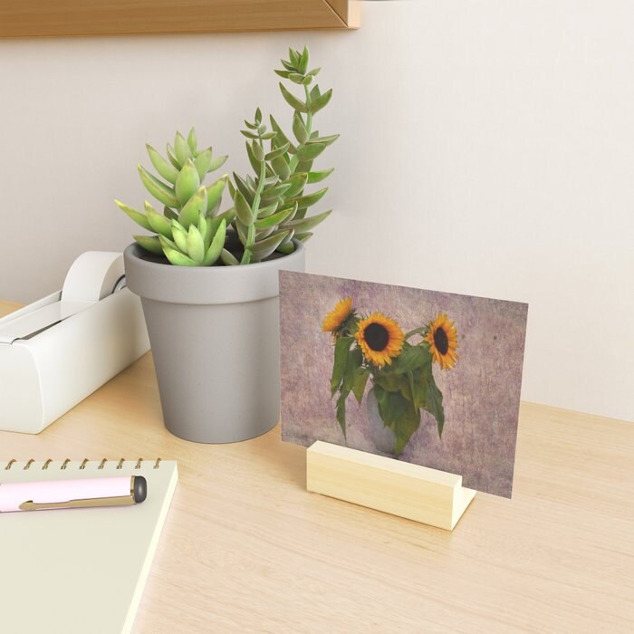 sonflower print photo