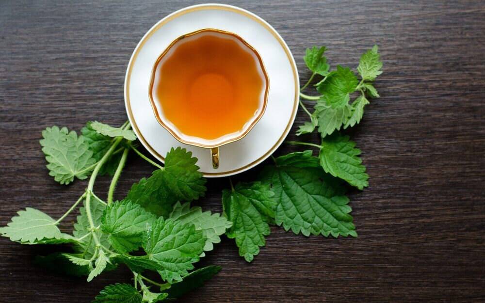 Nettle Tea