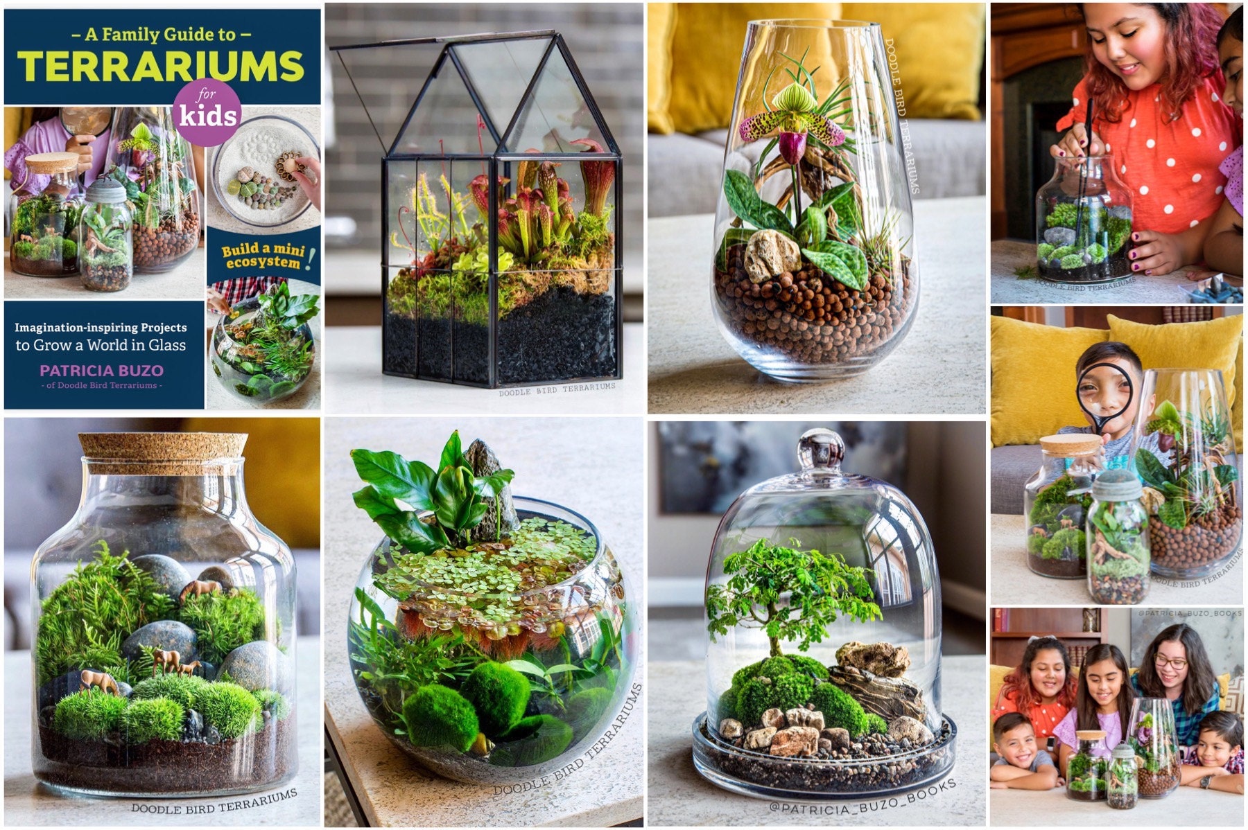 Terrarium projects featured in the book: A Family Guide to Terrariums