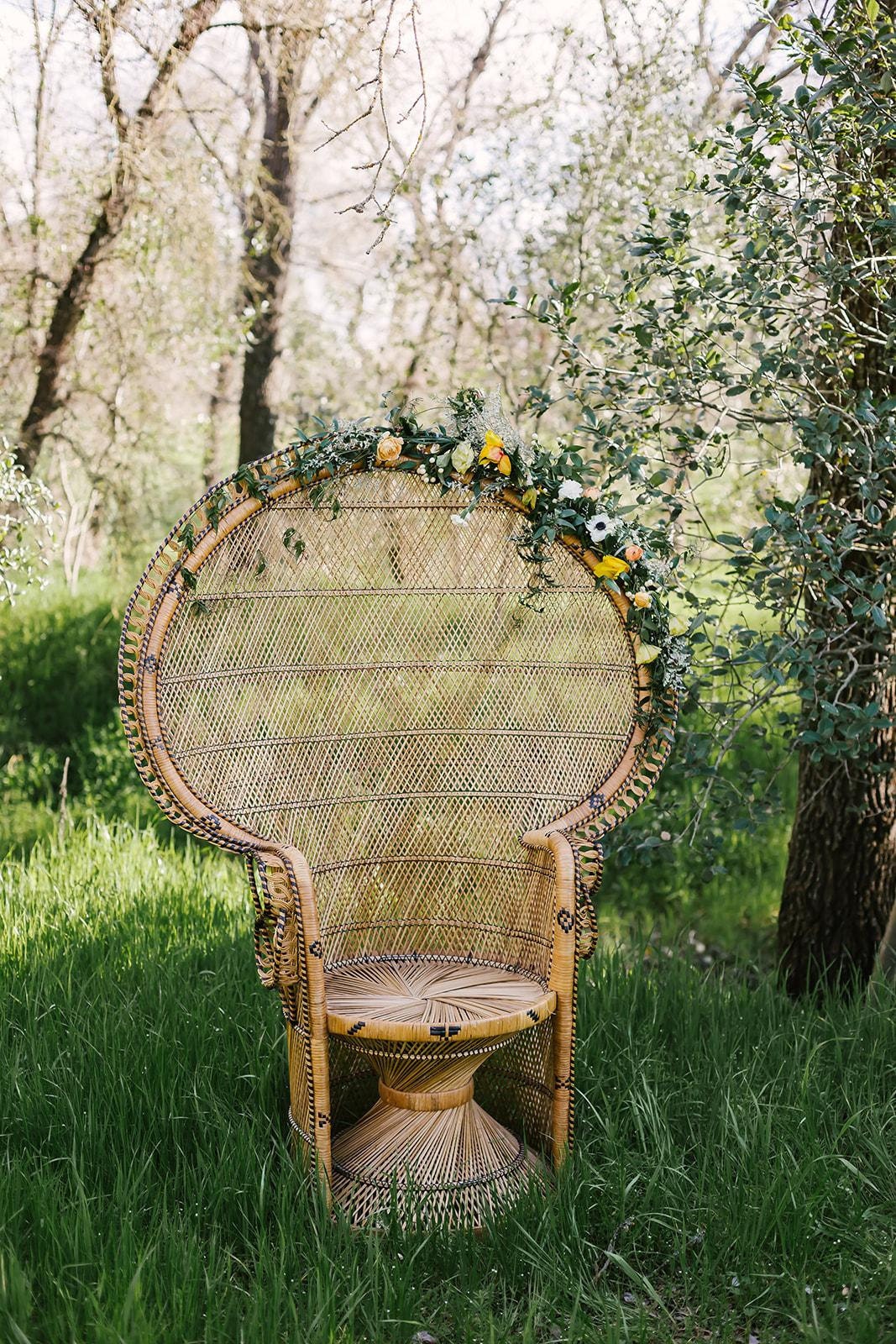 Vintage Peacock Chair Rentals