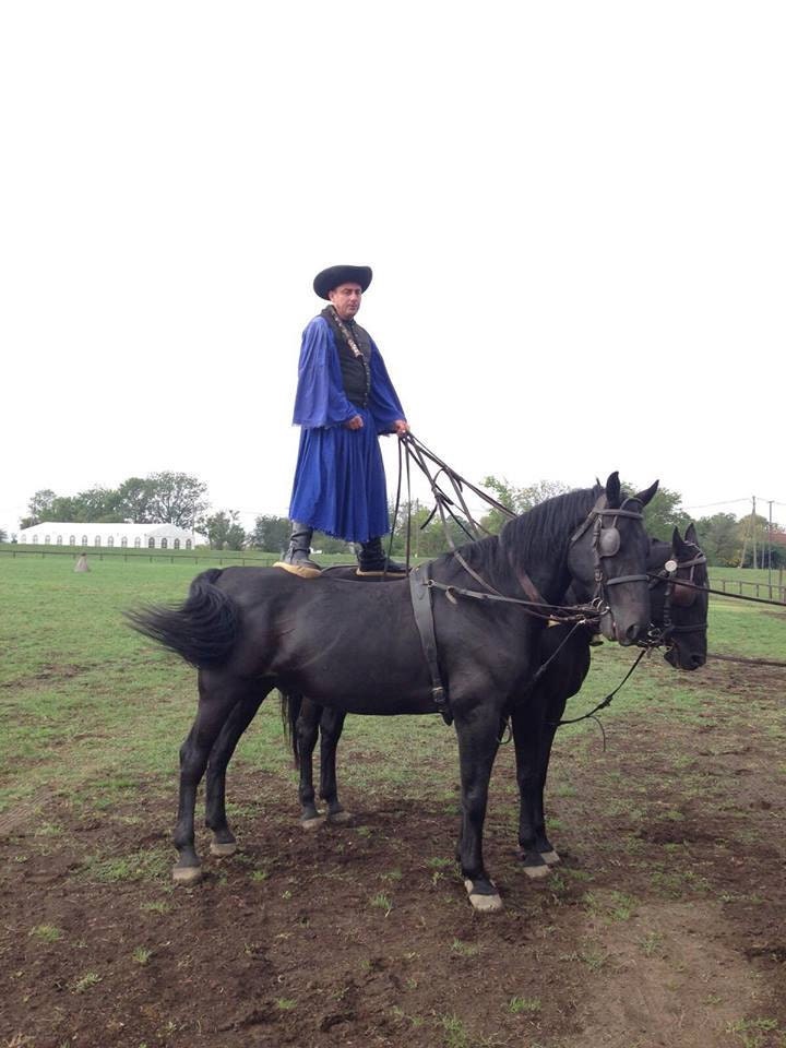 Traditional shepherding in the Hortobágy National Park