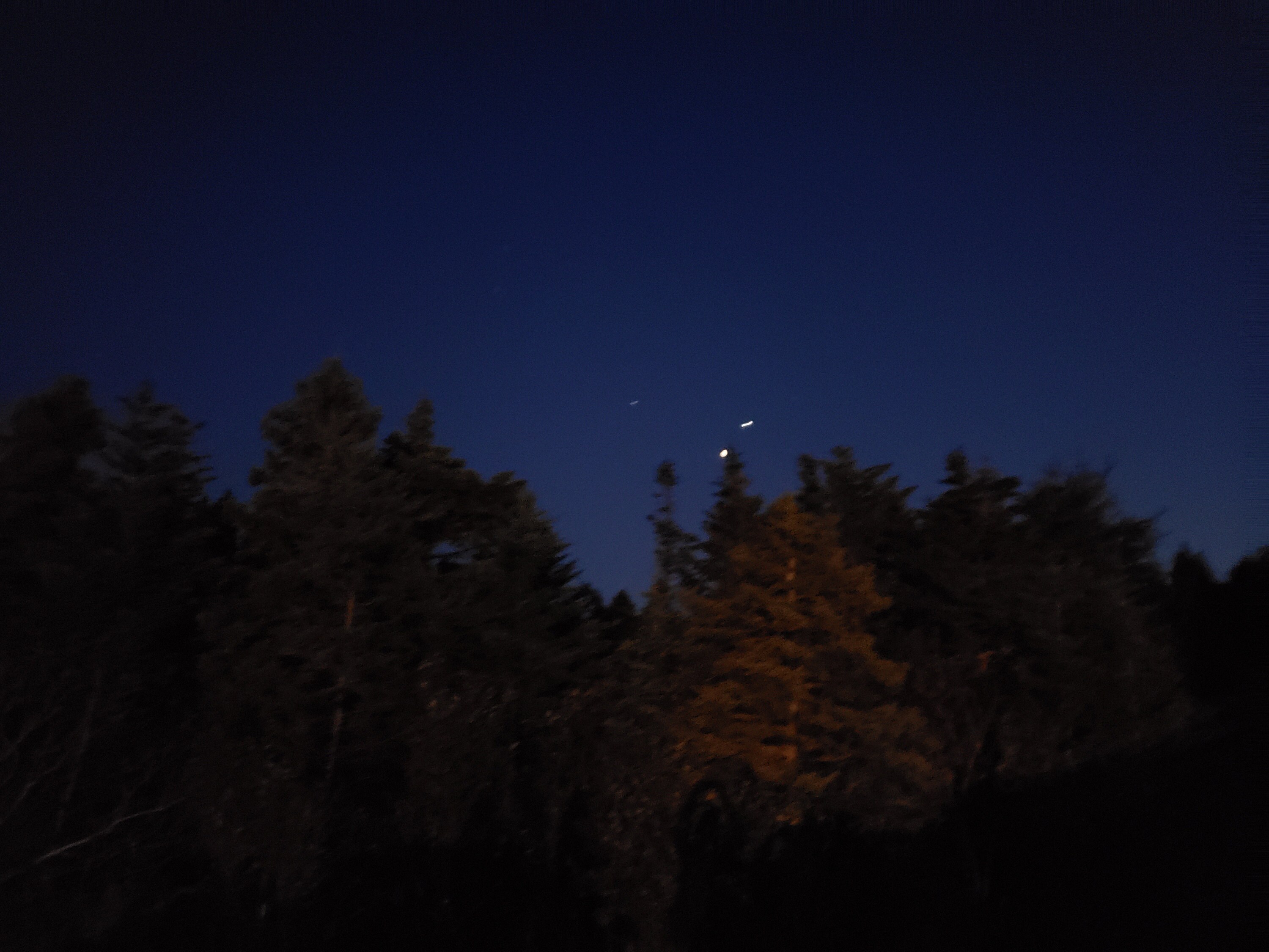Night sky above the treeline near my home.
