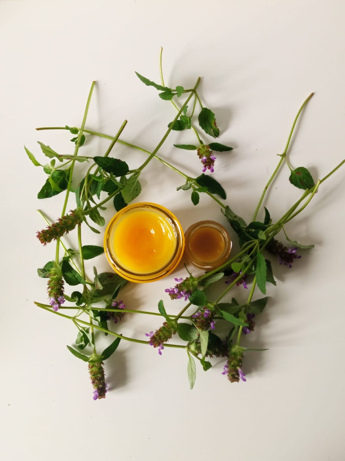 Prunella Vulgaris Salve