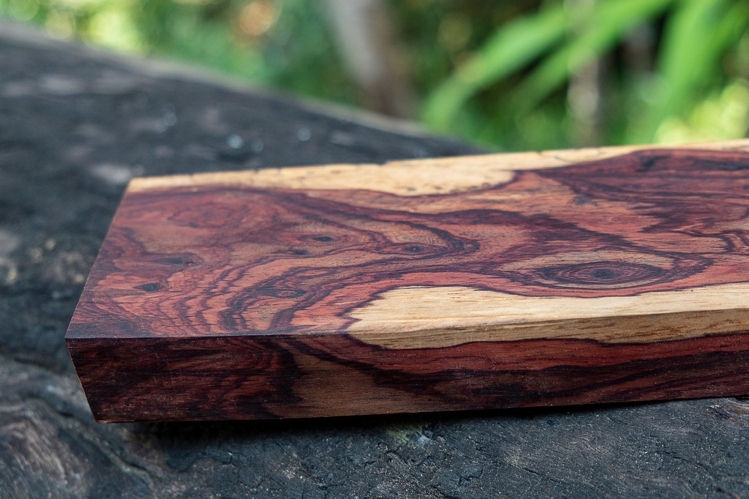 cocobolo