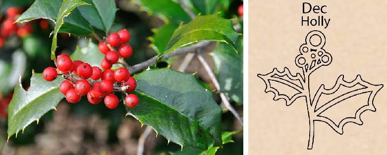 Holly Flower By Necklace Dream World