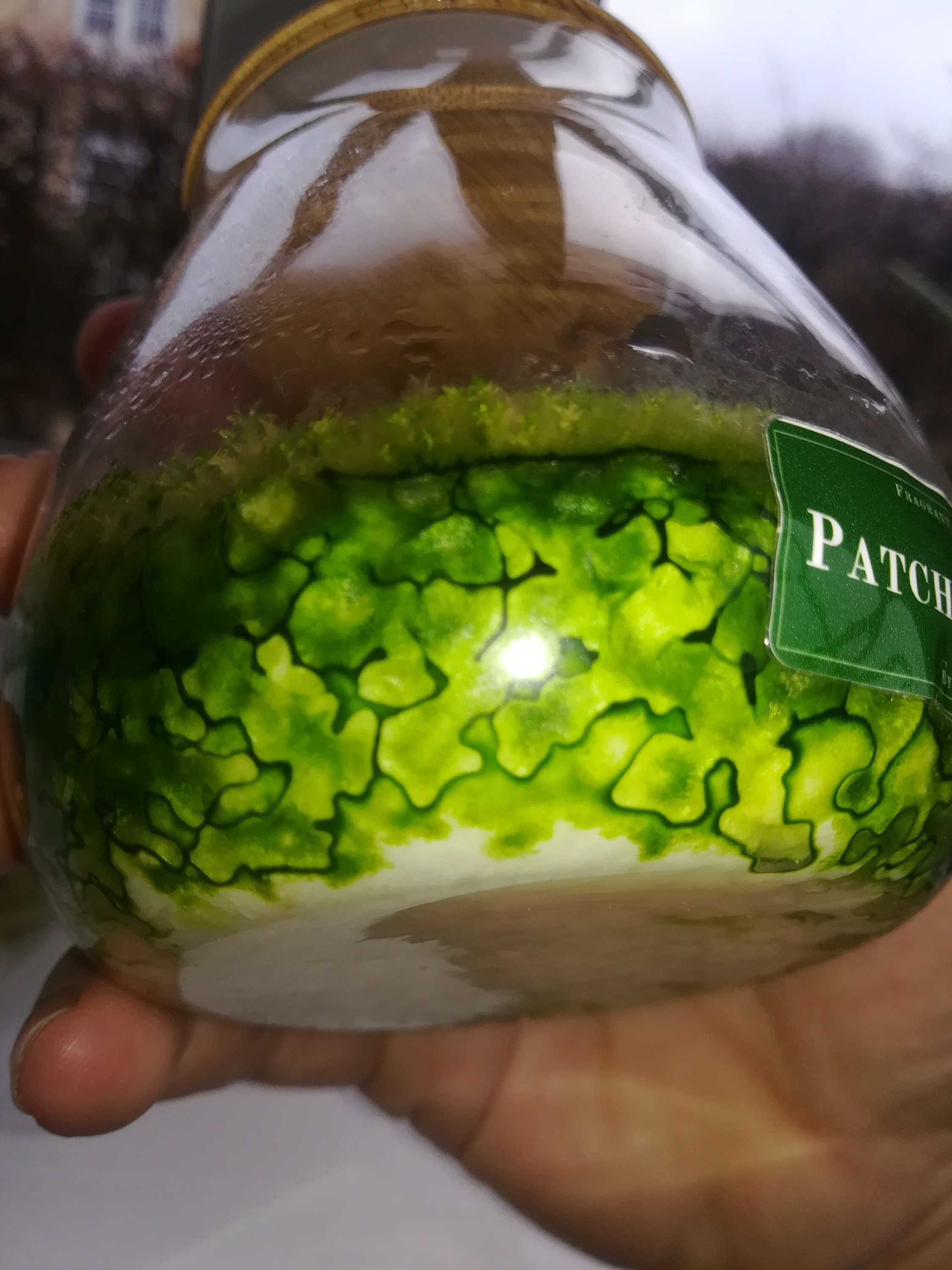 moss pattern