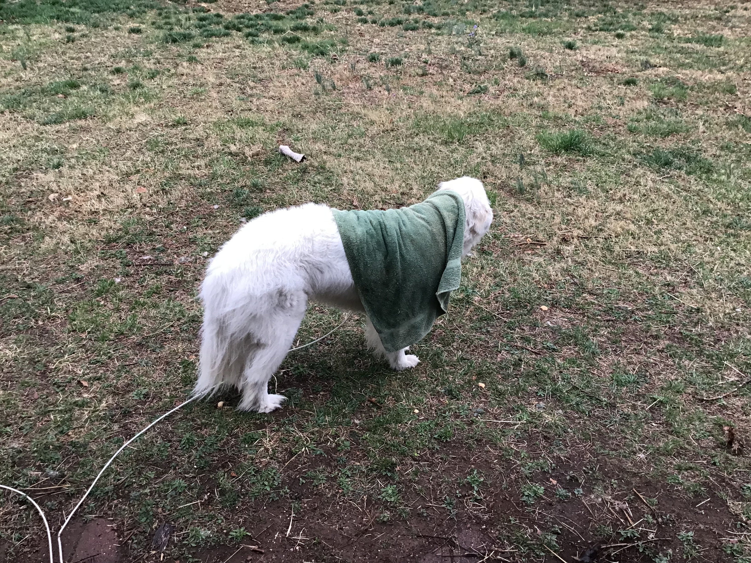 Standing in the rain, and not listening..