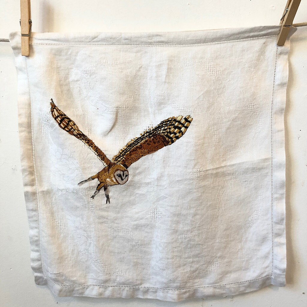 Tyto alba. (Barn Owl) , Hanging them out to Dry Series
