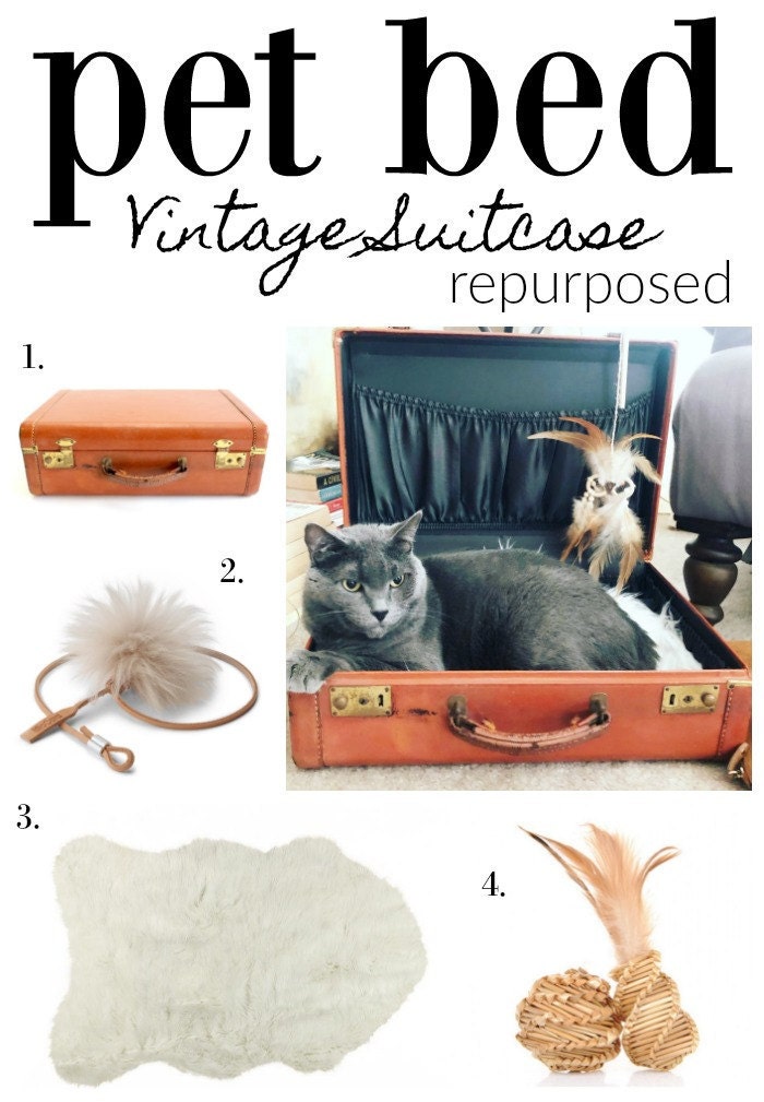 vintage suitcase cat bed