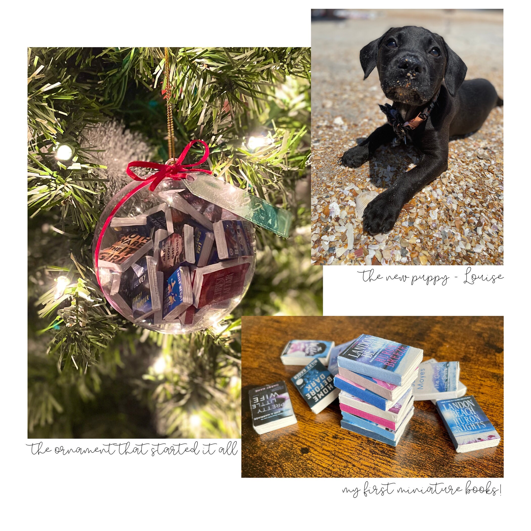 my new puppy, the ornament that started it all, and my first books!