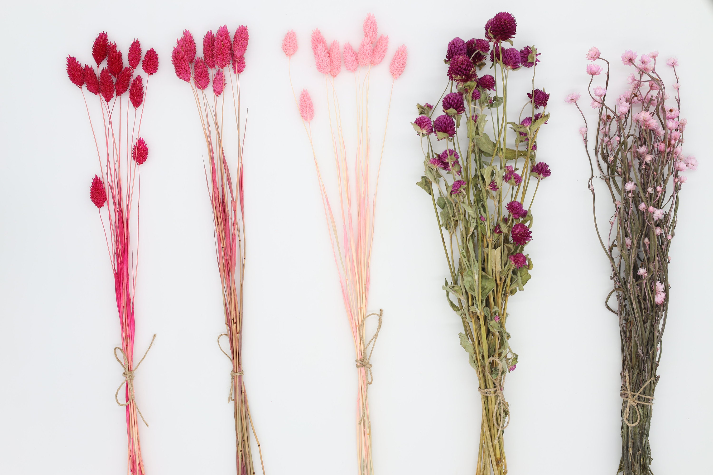 dark pink phalaris, pink canary grass, light pink ammobium, dark pink pomphrena