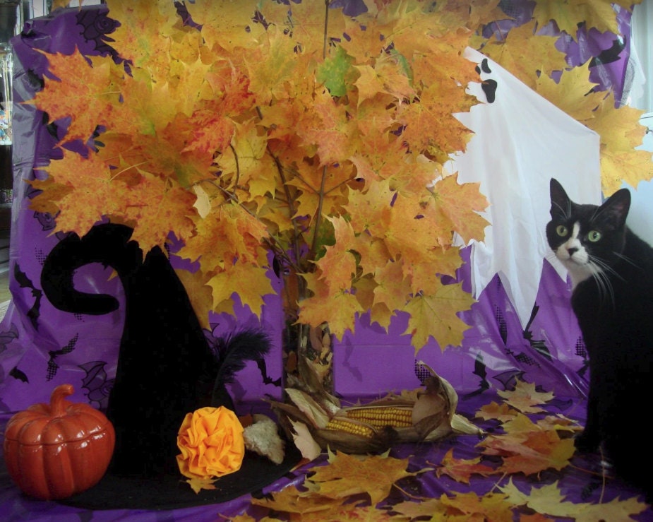 Crafts4Cats