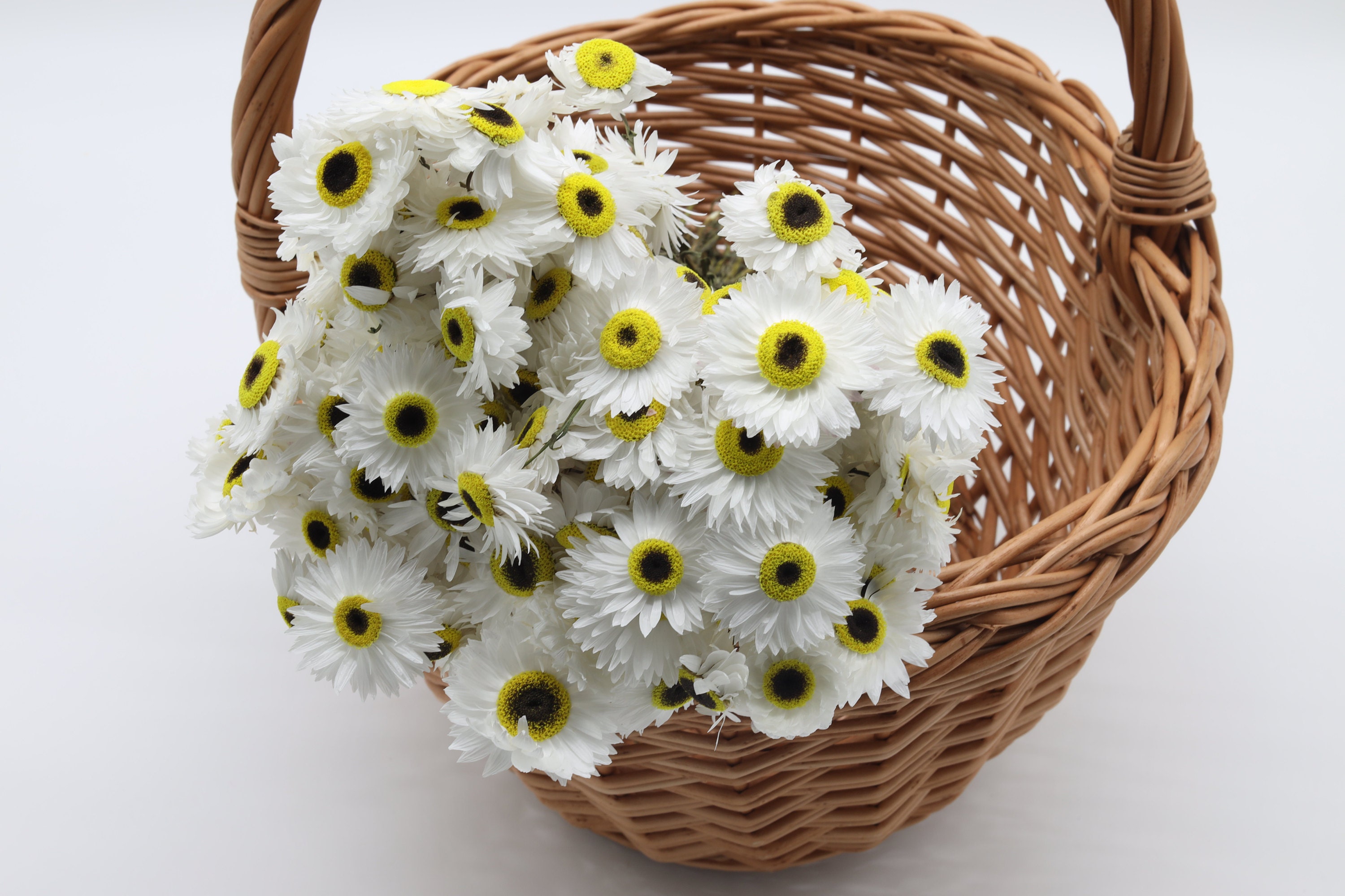 Strawflowes, Willow Basket, White Dried Flowers, Wicker Basket