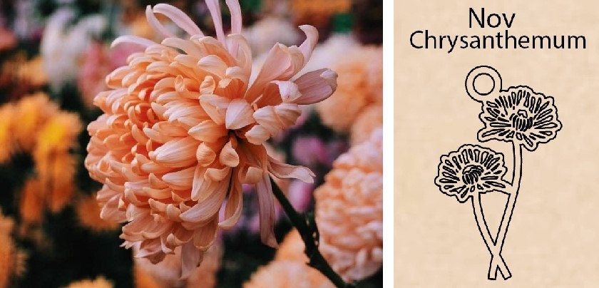 chrysanthemum flower by Necklace Dream World