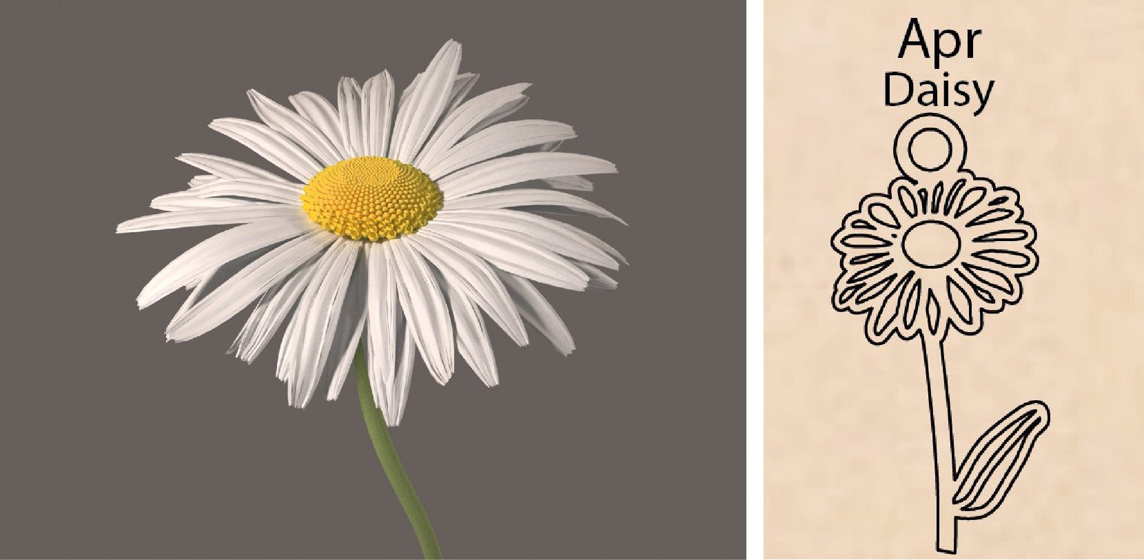 Daisy Flower By Necklace Dream World