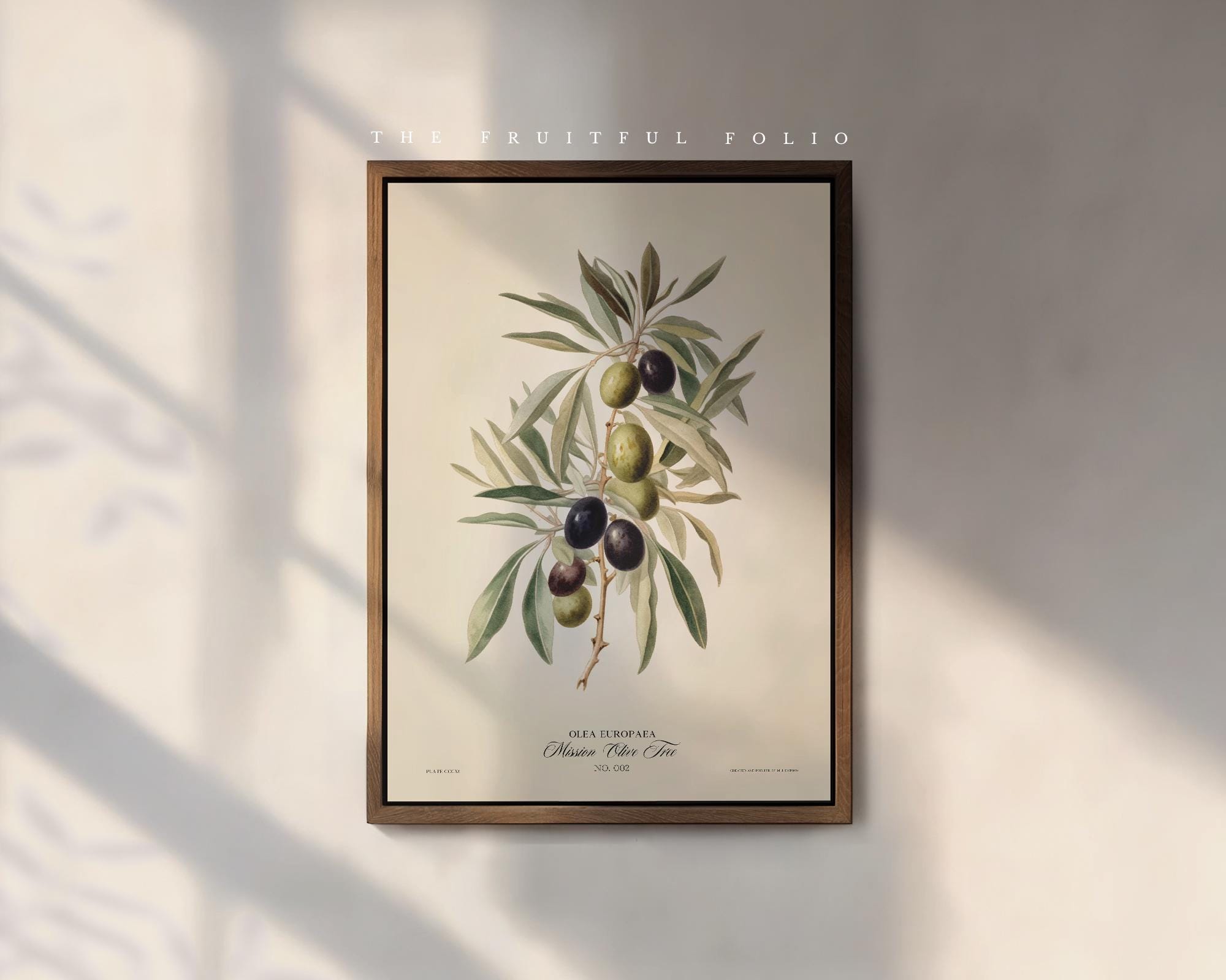 Naturalist Olive branch artwork