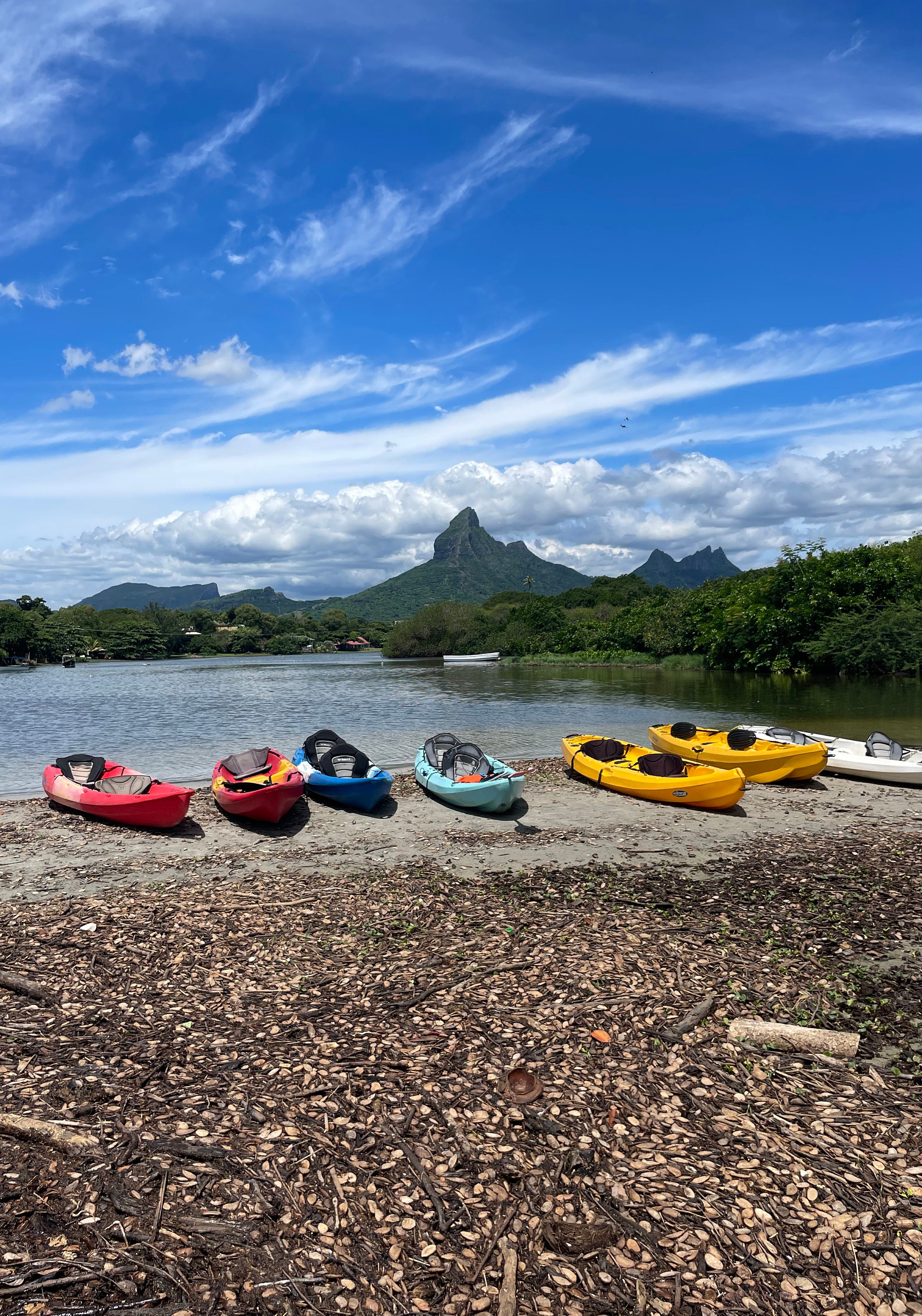 Mauritius_LaPlanteCarnivore