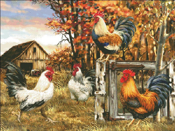 Rooster Farm