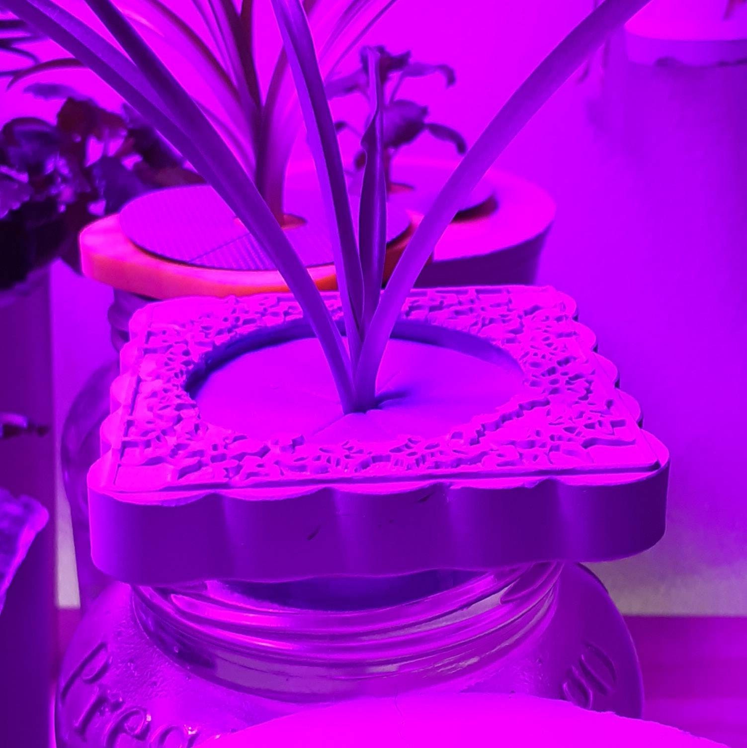 On Glass Jar