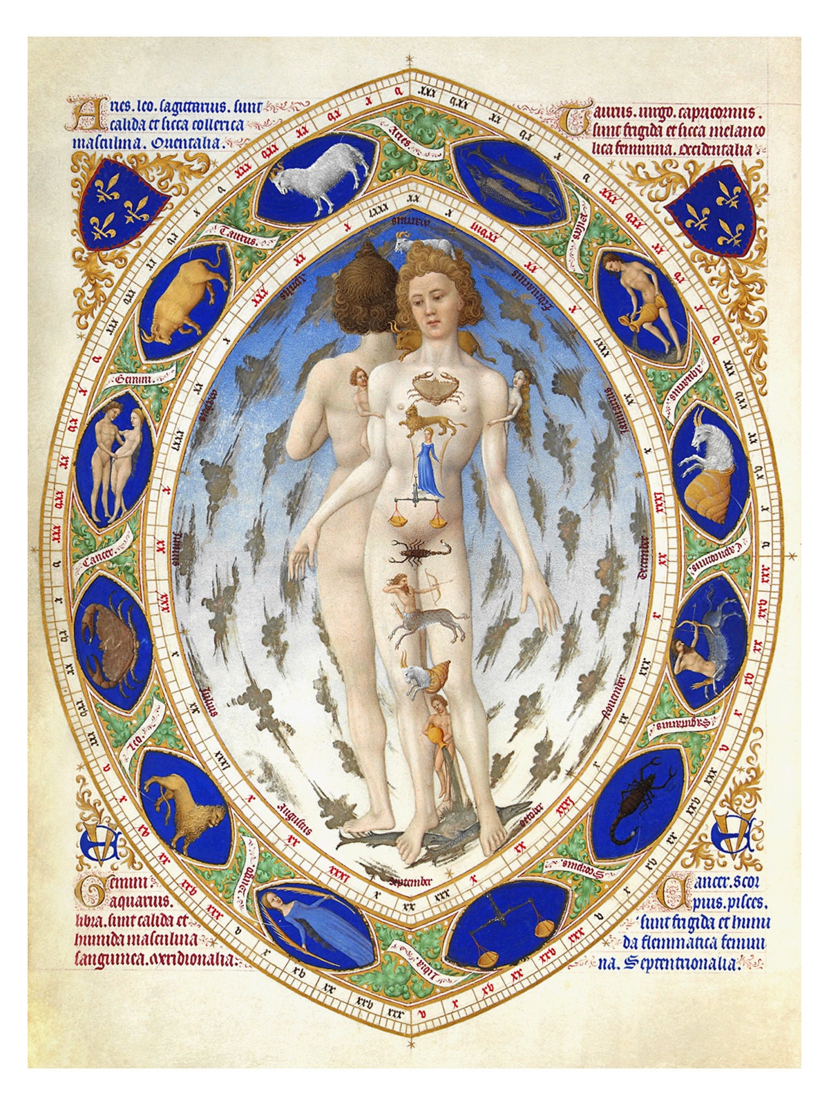 Our reproduction giclee print of the Zodiacal Man, from Jean de Berry’s illuminated medieval manuscript Book of Hours