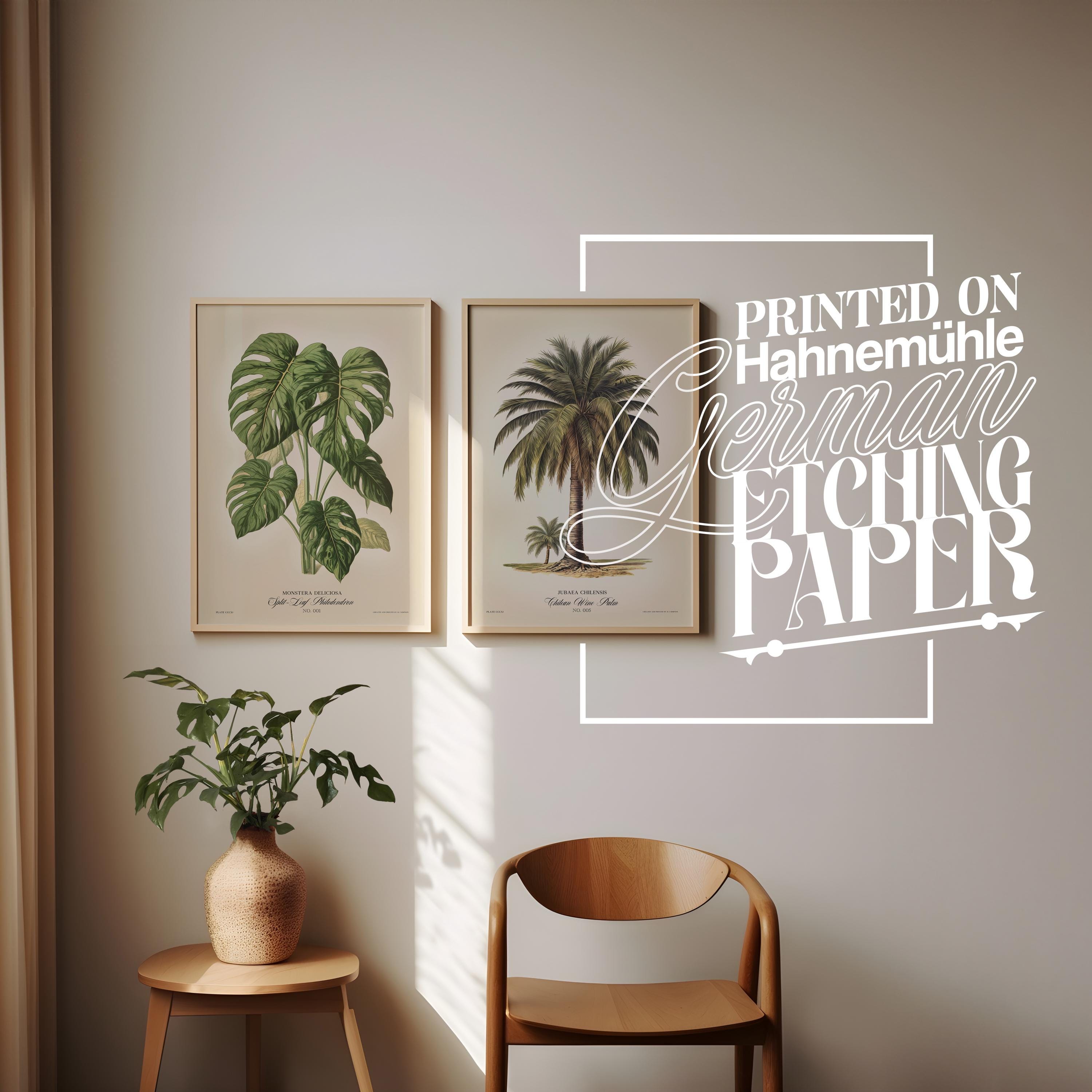Two art prints, a monstera plant and a palm tree framed on a wall